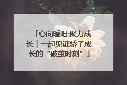 心向暖阳·聚力成长｜一起见证骄子成长的“破茧时刻”