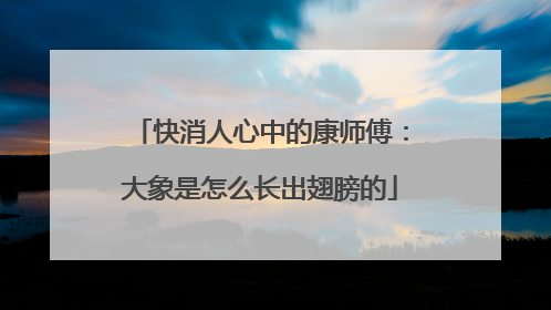 快消人心中的康师傅：大象是怎么长出翅膀的