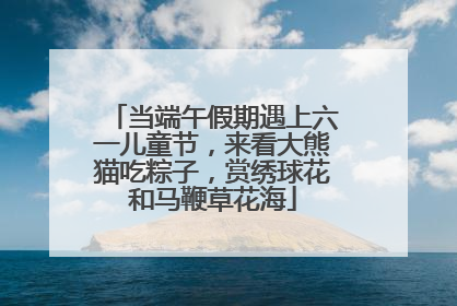 当端午假期遇上六一儿童节，来看大熊猫吃粽子，赏绣球花和马鞭草花海