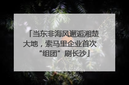 当东非海风邂逅湘楚大地，索马里企业首次“组团”刷长沙