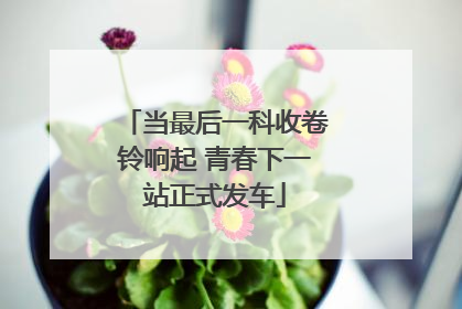 当最后一科收卷铃响起 青春下一站正式发车
