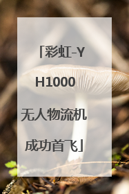 彩虹-YH1000无人物流机成功首飞