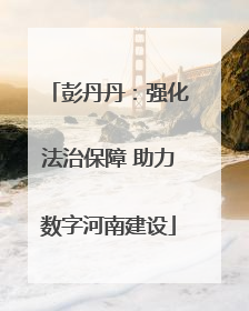 彭丹丹:强化法治保障 助力数字河南建设