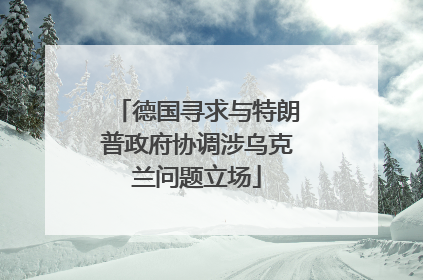德国寻求与特朗普政府协调涉乌克兰问题立场