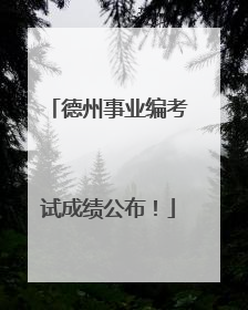 德州事业编考试成绩公布！
