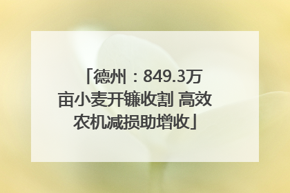 德州：849.3万亩小麦开镰收割 高效农机减损助增收