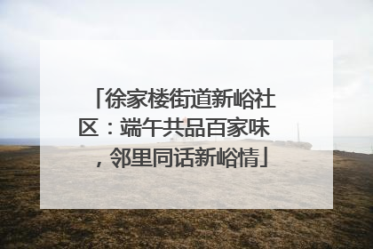 徐家楼街道新峪社区：端午共品百家味，邻里同话新峪情