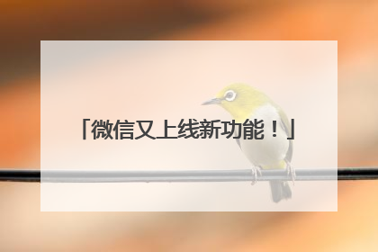 微信又上线新功能！