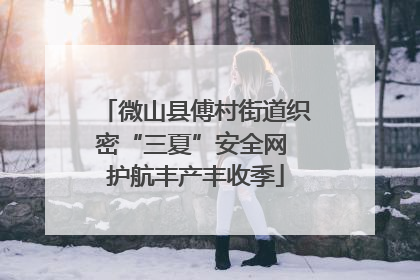 微山县傅村街道织密“三夏”安全网 护航丰产丰收季