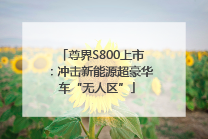 尊界S800上市：冲击新能源超豪华车“无人区”