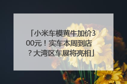 小米车模黄牛加价300元！实车本周到店？大湾区车展将亮相