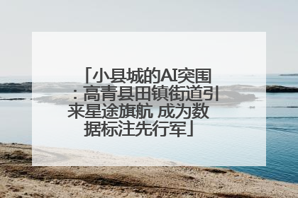 小县城的AI突围：高青县田镇街道引来星途旗航 成为数据标注先行军