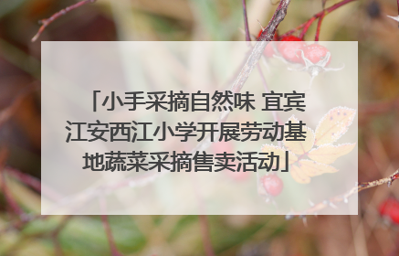 小手采摘自然味 宜宾江安西江小学开展劳动基地蔬菜采摘售卖活动