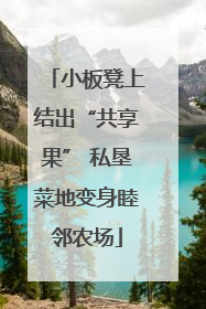 小板凳上结出“共享果” 私垦菜地变身睦邻农场