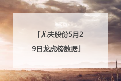 尤夫股份5月29日龙虎榜数据