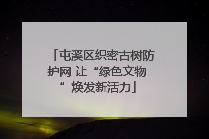 屯溪区织密古树防护网 让“绿色文物”焕发新活力