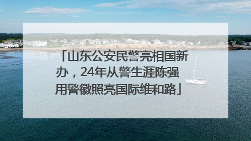 山东公安民警亮相国新办，24年从警生涯陈强用警徽照亮国际维和路