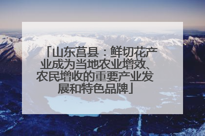 山东莒县：鲜切花产业成为当地农业增效、农民增收的重要产业发展和特色品牌