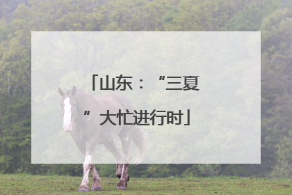 山东：“三夏”大忙进行时