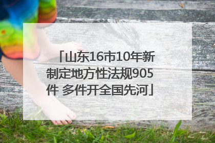 山东16市10年新制定地方性法规905件 多件开全国先河
