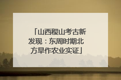 山西稷山考古新发现：东周时期北方旱作农业实证