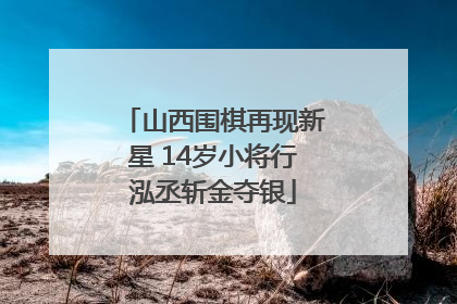 山西围棋再现新星 14岁小将行泓丞斩金夺银