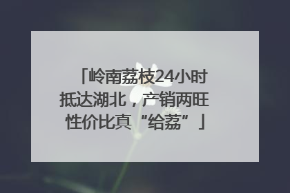 岭南荔枝24小时抵达湖北，产销两旺性价比真“给荔”