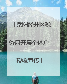 岳阳经开区税务局开展个体户税收宣传