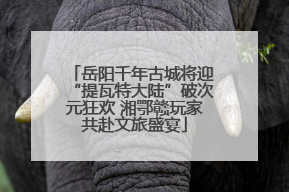 岳阳千年古城将迎“提瓦特大陆”破次元狂欢 湘鄂赣玩家共赴文旅盛宴