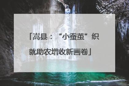 嵩县：“小蚕茧”织就助农增收新画卷