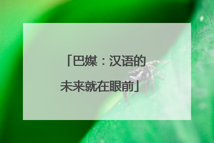 巴媒：汉语的未来就在眼前