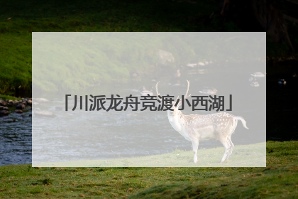 川派龙舟竞渡小西湖