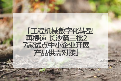 工程机械数字化转型再提速 长沙第三批27家试点中小企业开展产品供需对接