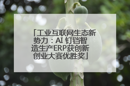 工业互联网生态新势力：AI 钉铛智造生产ERP获创新创业大赛优胜奖