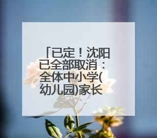 已定！沈阳已全部取消：全体中小学(幼儿园)家长及在职人群彻底狂欢吧！6月17日开始实行！18岁及以上可参加25年学历提升报名！