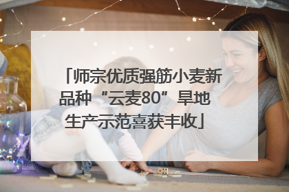 师宗优质强筋小麦新品种“云麦80”旱地生产示范喜获丰收