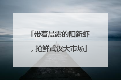带着晨露的阳新虾，抢鲜武汉大市场