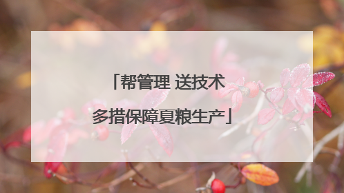 帮管理 送技术 多措保障夏粮生产