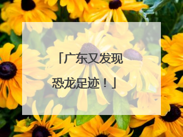 广东又发现恐龙足迹！