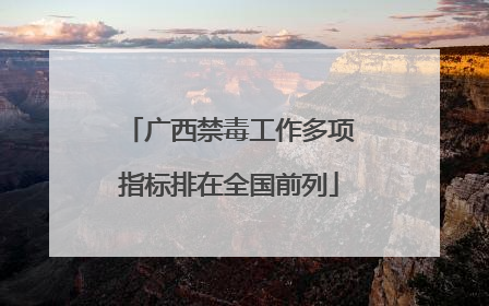 广西禁毒工作多项指标排在全国前列