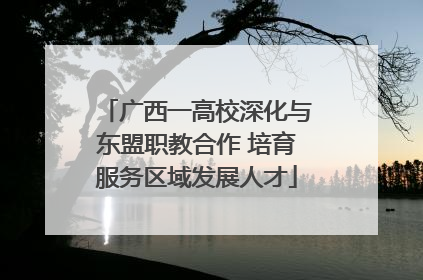 广西一高校深化与东盟职教合作 培育服务区域发展人才