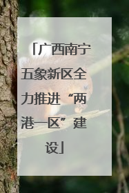 广西南宁五象新区全力推进“两港一区”建设