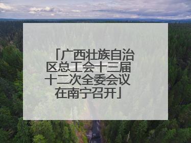 广西壮族自治区总工会十三届十二次全委会议在南宁召开