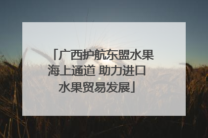 广西护航东盟水果海上通道 助力进口水果贸易发展