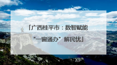 广西桂平市：数智赋能“一窗通办”解民忧