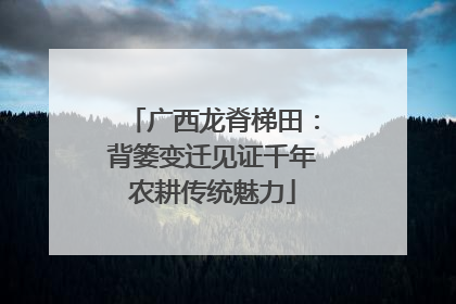 广西龙脊梯田：背篓变迁见证千年农耕传统魅力