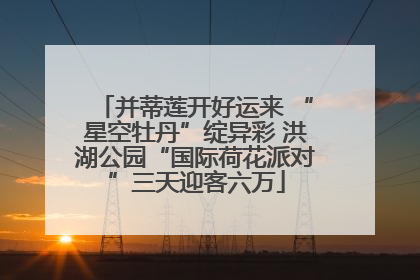 并蒂莲开好运来 “星空牡丹”绽异彩 洪湖公园“国际荷花派对”三天迎客六万
