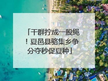 干群拧成一股绳！夏邑县骆集乡争分夺秒促夏种