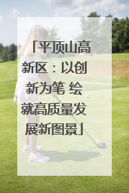 平顶山高新区：以创新为笔 绘就高质量发展新图景