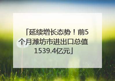 延续增长态势！前5个月潍坊市进出口总值1539.4亿元